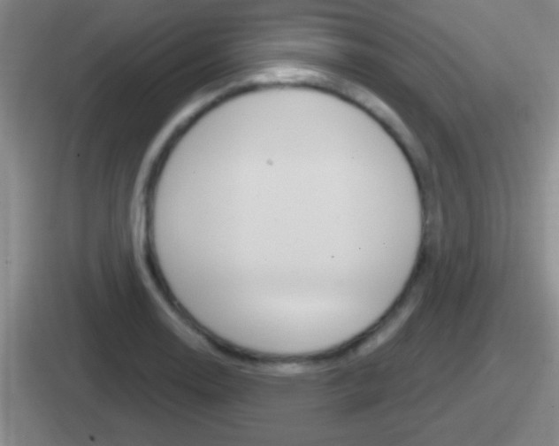 X0000112071130201007221001