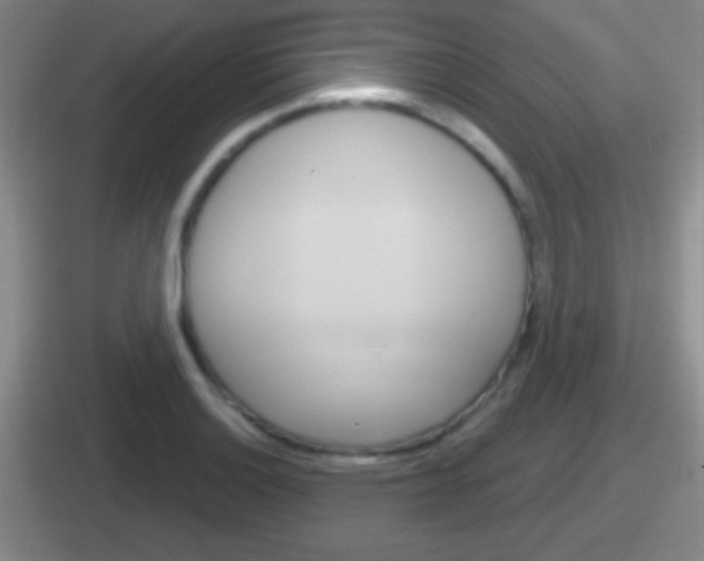 X0000112071132201007221001