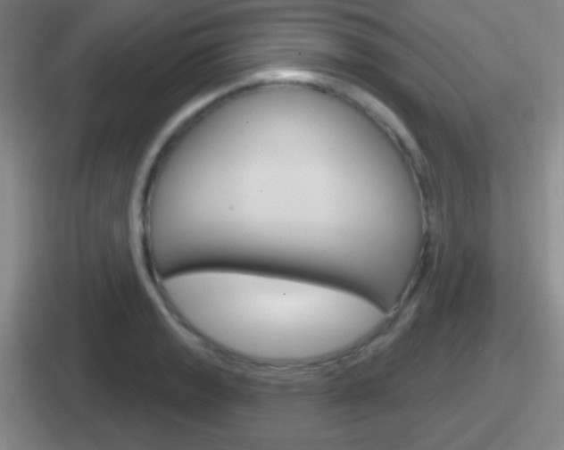 X0000112071133201007221001