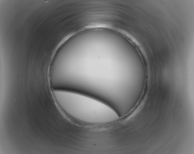 X0000112071137201007221001