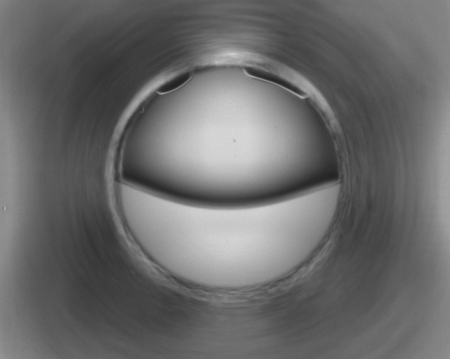X0000112071138201007221001
