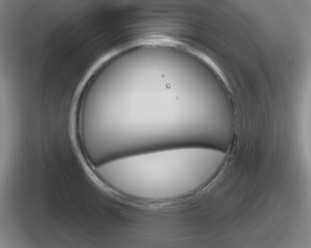 X0000112071139201007221001