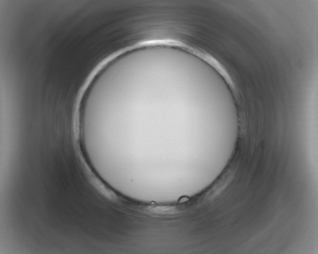 X0000112071140201007221001