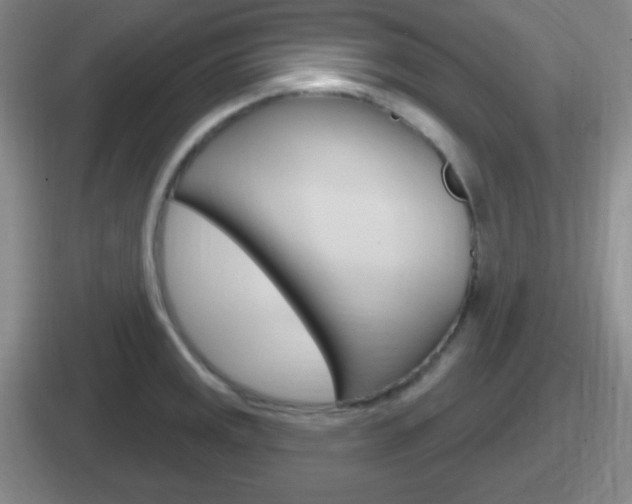 X0000112071141201007221001