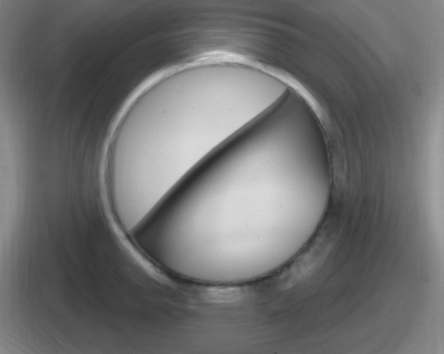 X0000112071142201007221001