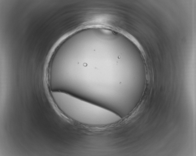 X0000112071144201007221001