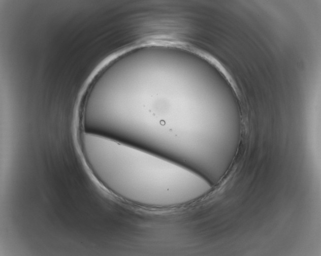 X0000112071147201007221002