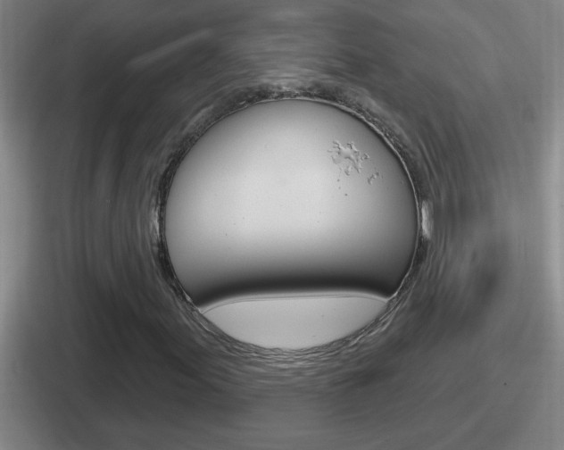 X0000112071155201007221001