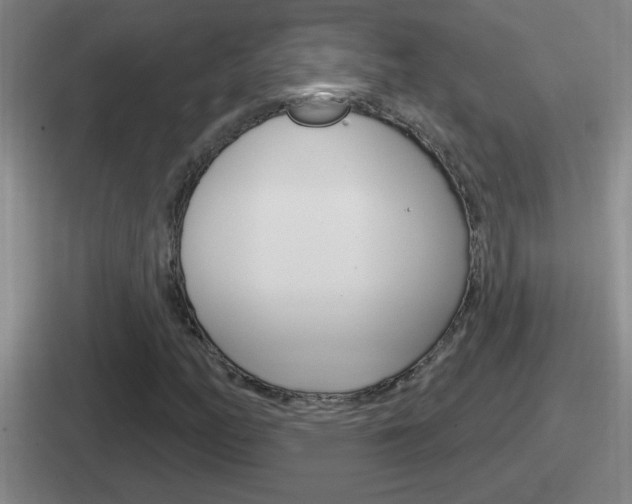 X0000112071158201007221001