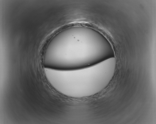 X0000112071159201007221001