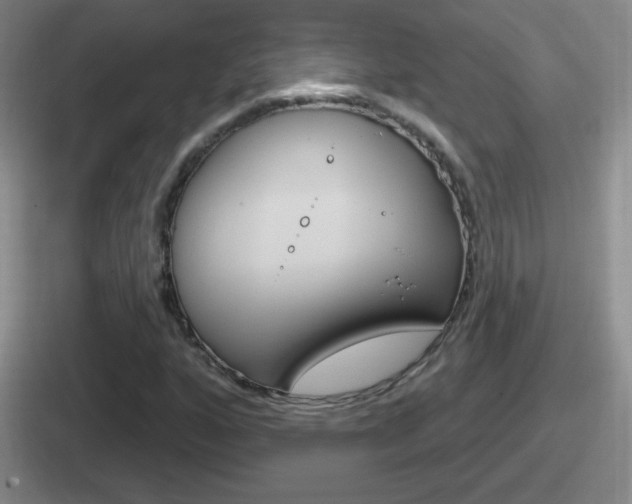 X0000112071160201007221001
