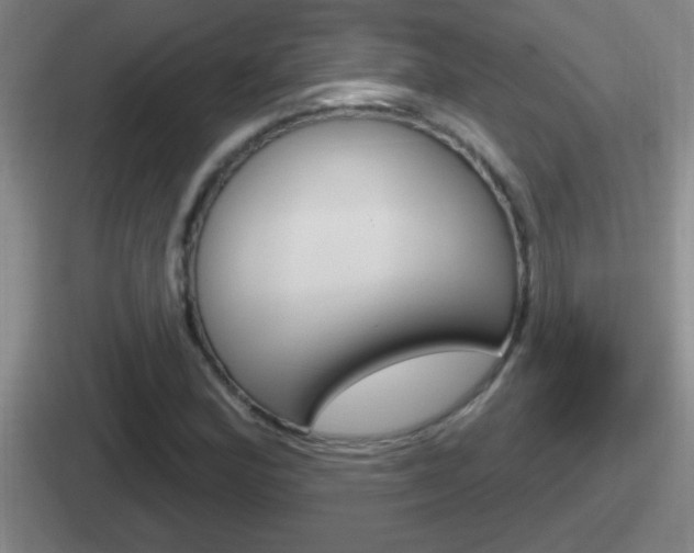 X0000112071164201007221001