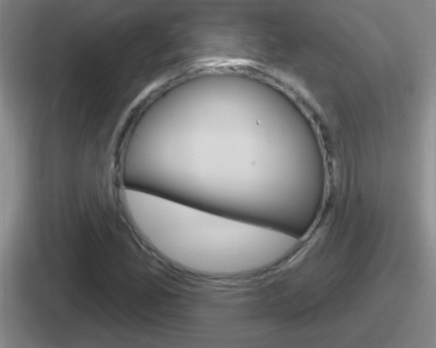 X0000112071165201007221001