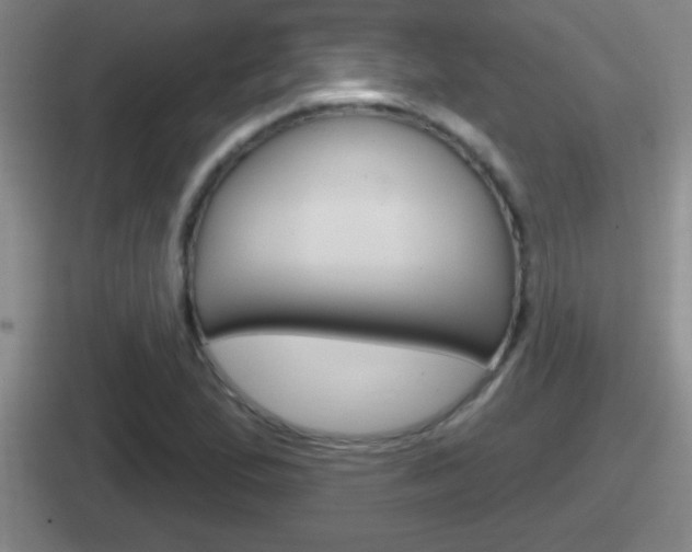 X0000112071167201007221001