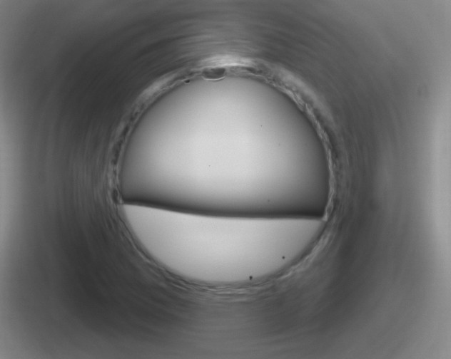 X0000112071169201007221001