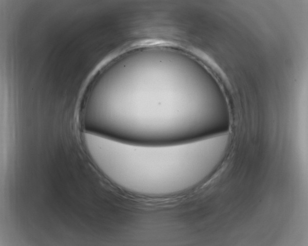 X0000112071173201007221001