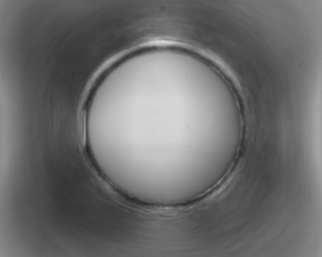 X0000112071175201007221001