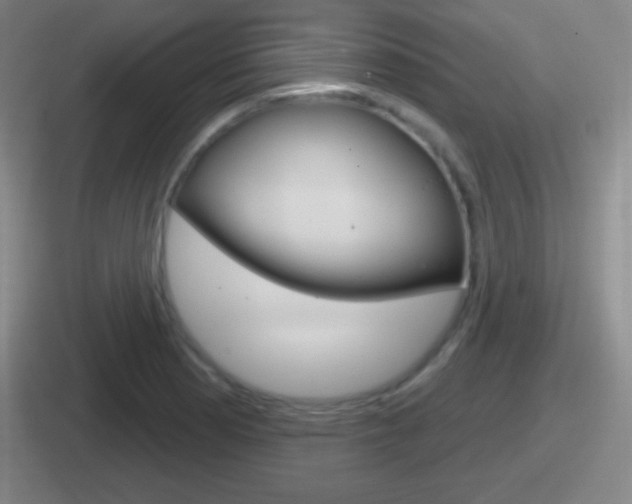 X0000112071177201007221001