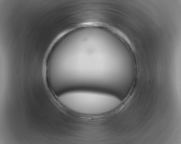 X0000112071179201007221001