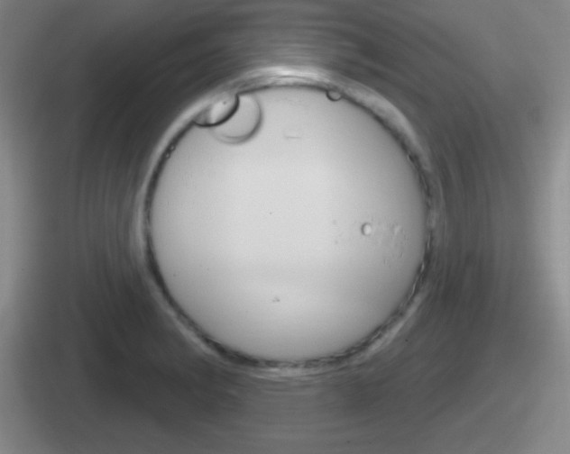 X0000112071182201007221001