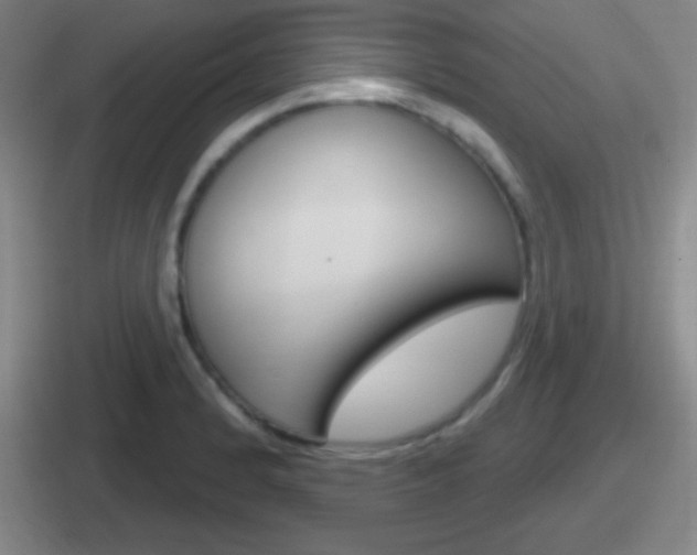 X0000112071184201007221001