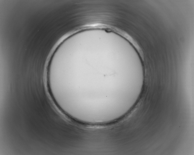 X0000112071187201007221001