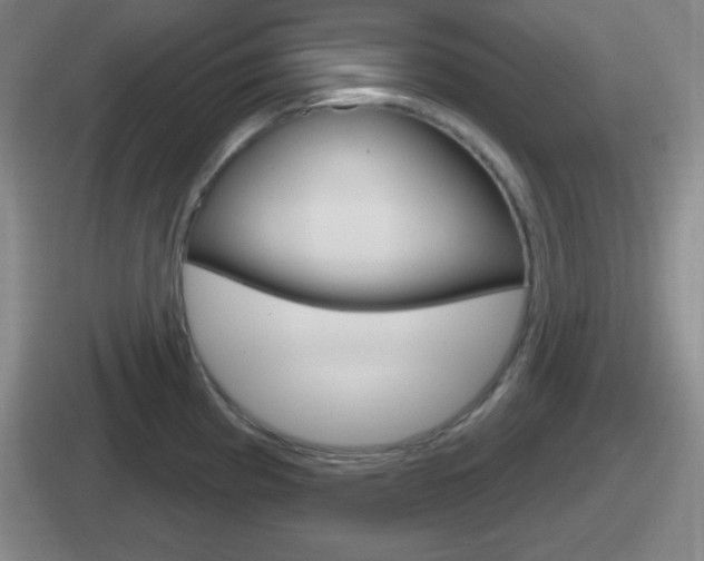 X0000112071193201007221000