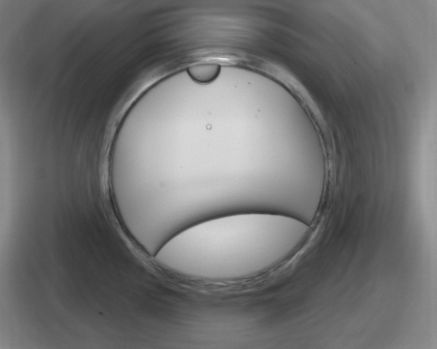 X0000112071194201007221000