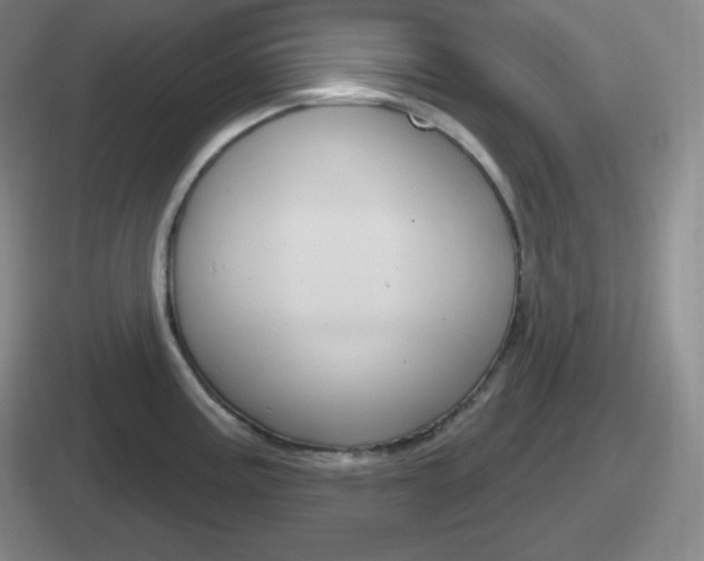 X0000112071195201007221000