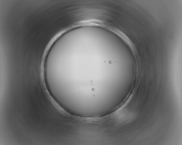 X0000112071196201007221000