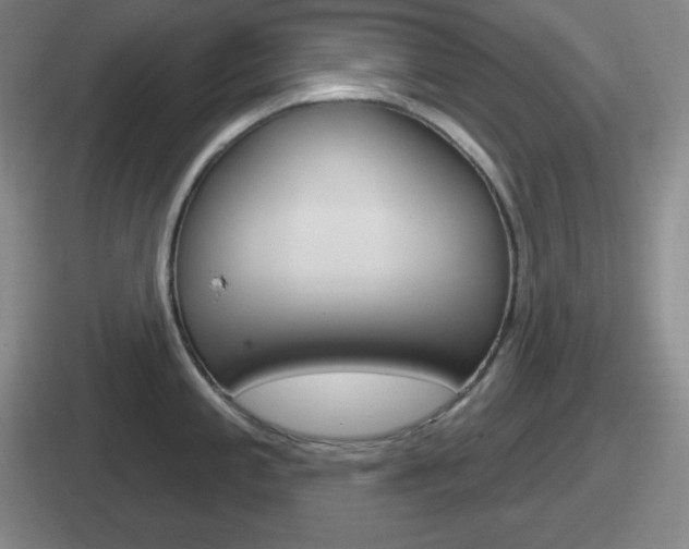 X0000112071197201007221000