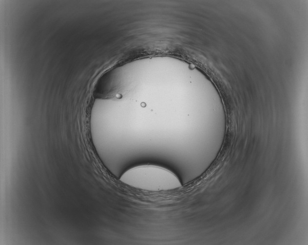 X0000112071201201007221000