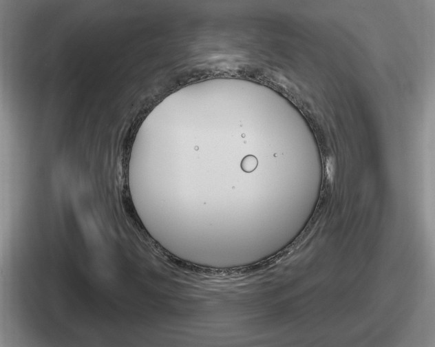 X0000112071203201007221000