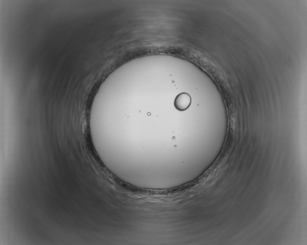 X0000112071204201007221000
