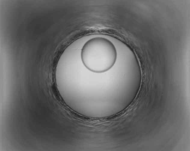 X0000112071205201007221000