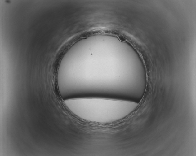 X0000112071206201007221000