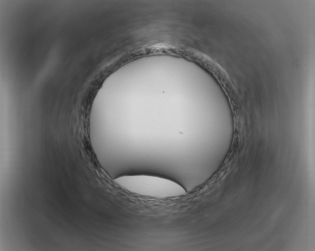 X0000112071207201007221000