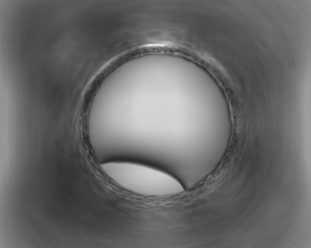 X0000112071208201007221000