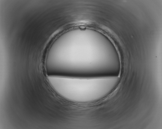 X0000112071210201007221000