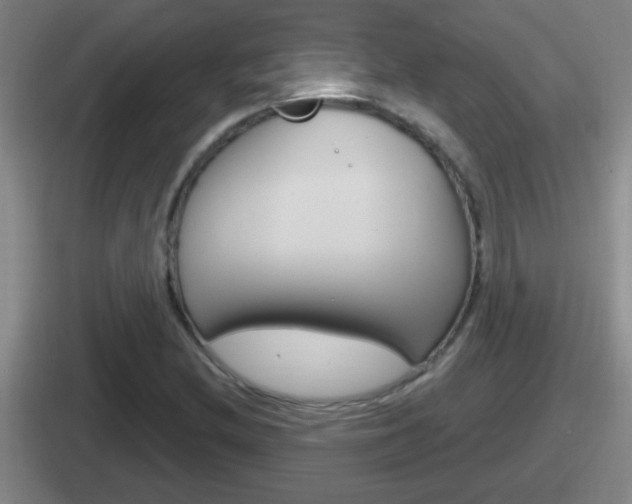 X0000112071212201007221000