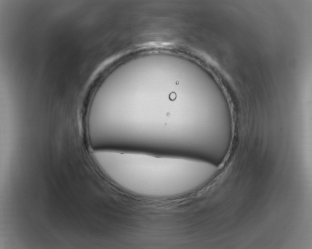 X0000112071214201007221000