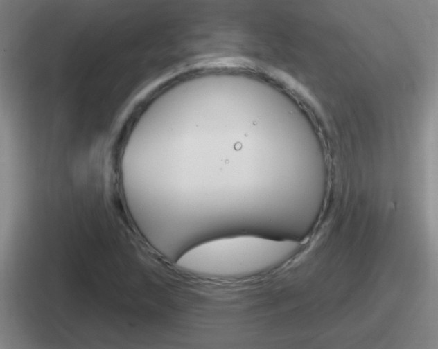 X0000112071215201007221000