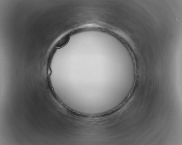 X0000112071216201007221000