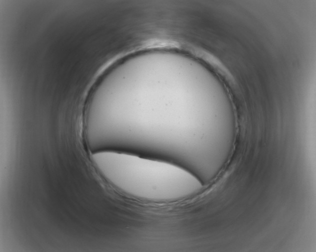X0000112071220201007221000