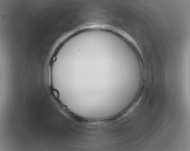 X0000112071223201007221000