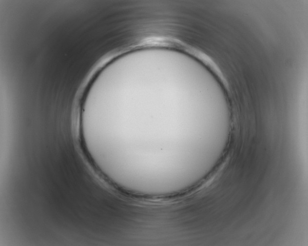 X0000112071227201007221000