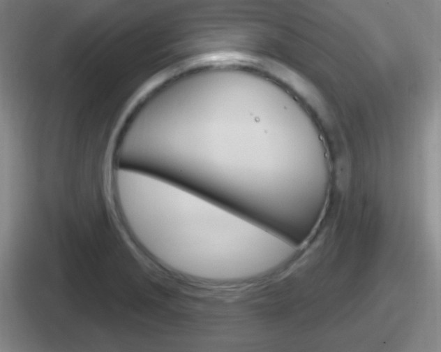 X0000112071229201007221000