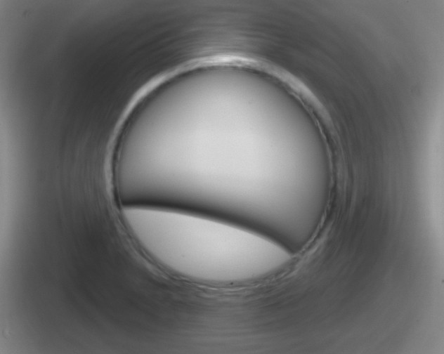 X0000112071230201007221000