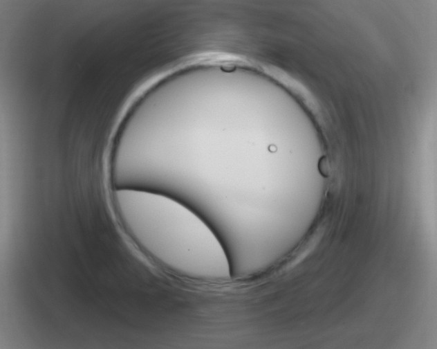 X0000112071231201007221000