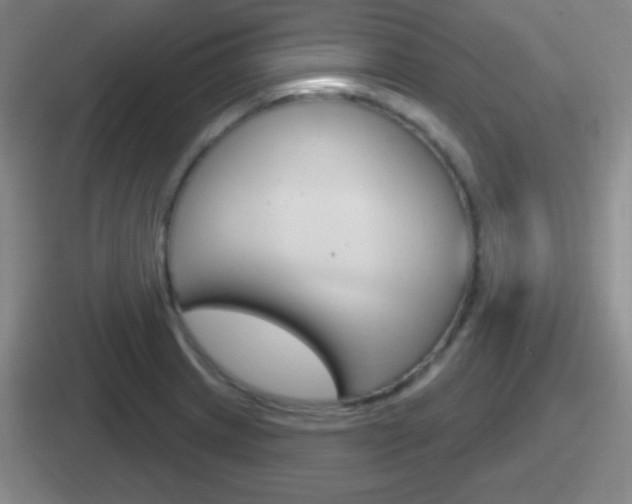 X0000112071233201007221000
